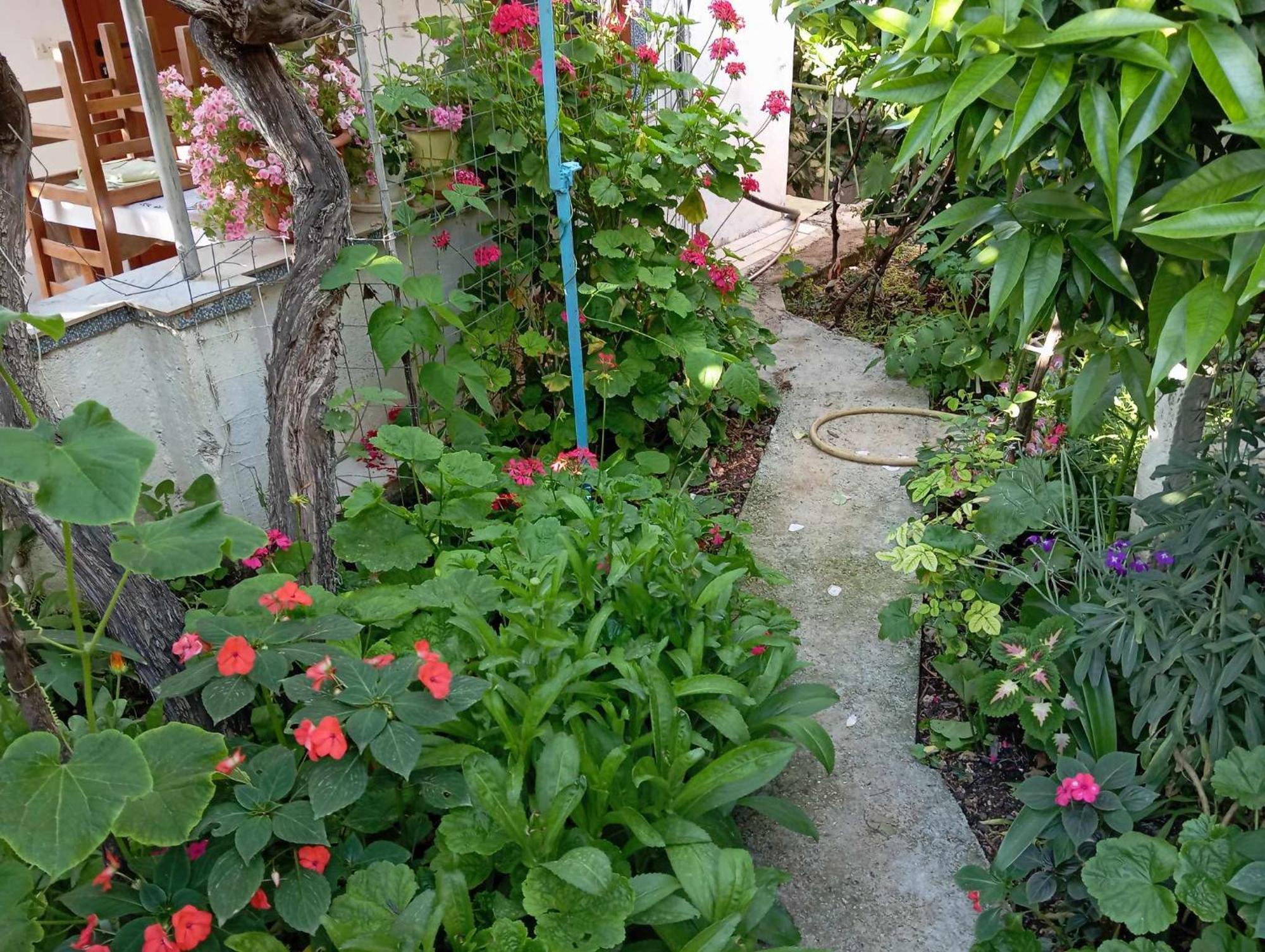 Casa de hóspedes Relaxation Place