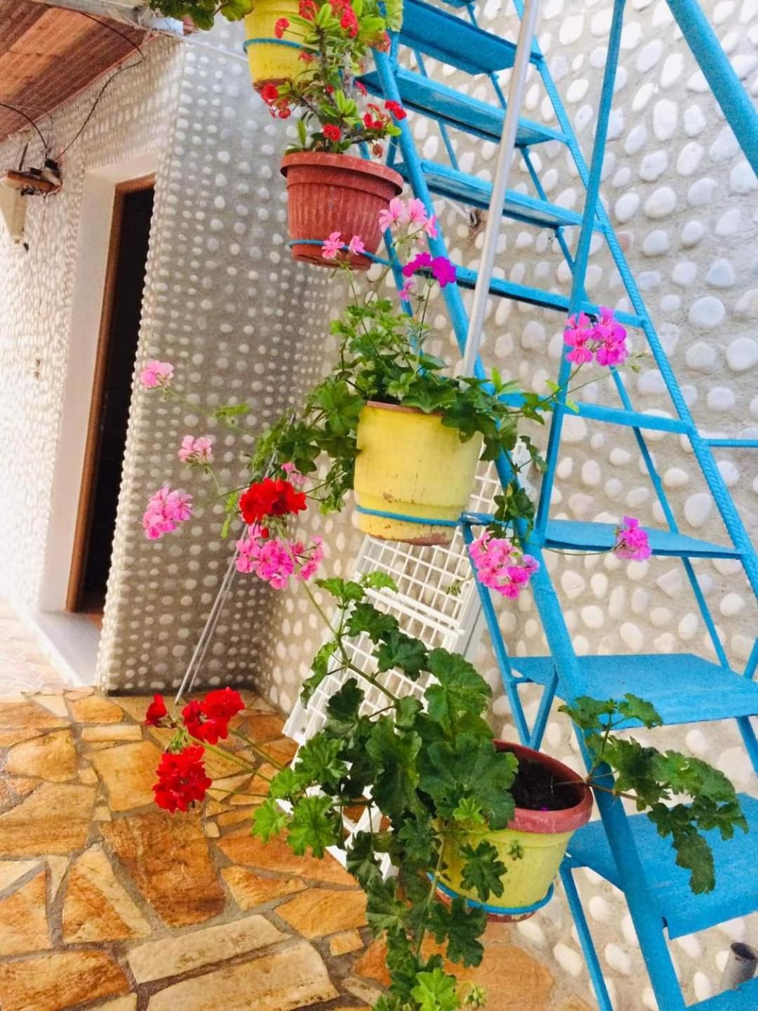 Relaxation Place Himare